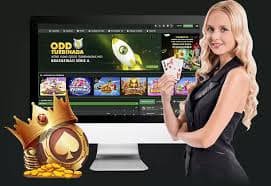 6688app